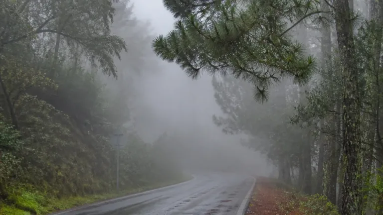 Protección Civil alerta por nieblas, lloviznas y rachas de viento en zonas montañosas